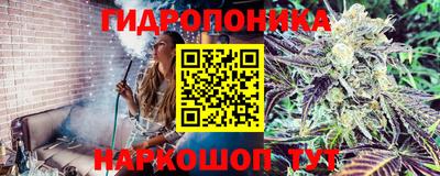 винт Краснознаменск