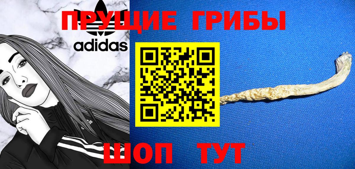 Галлюциногенные грибы Cubensis Камышлов