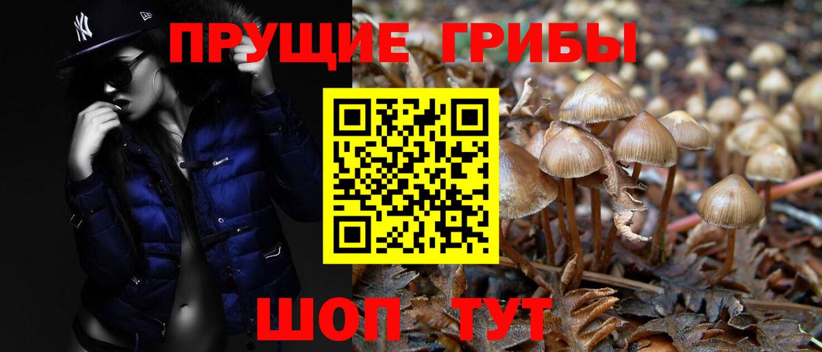 Псилоцибиновые грибы мицелий  Вход с VPN  Камышлов 